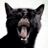 Profilbild von ๐ชฉ