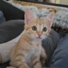aLisaK profil fotoğrafı