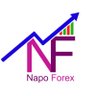 Profilbild von NapoForex