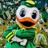 Puddles the duck cappin 的头像