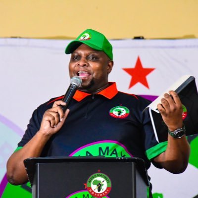 Floyd Shivambu's profile picture