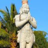 L.krishna chowdary 🇮🇳's profile picture
