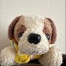 キャバリア愛好会's profile picture
