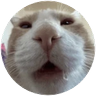 something random's profile picture