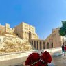 Фото профиля Mohammed Al Halabi