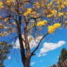 Фото профиля جابر عثرات الكرام