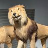 乐 profil fotoğrafı