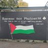 Baz Ryan 🇵🇸 🇨🇺 profil fotoğrafı