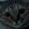 YYN_'s profile picture