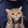 Vee🫠 (Vera) profil fotoğrafı