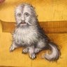 萌明's profile picture