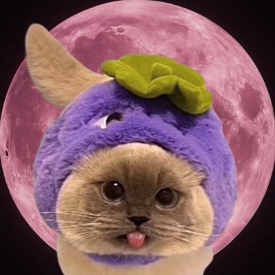 kira (fan account)'s profile picture