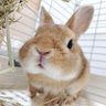 七夕's profile picture