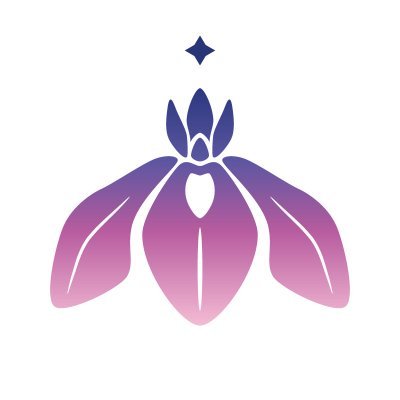 yoakenoiris's profile picture