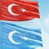 Cennet koçyiğit profil fotoğrafı