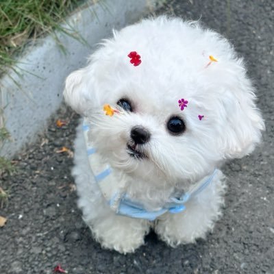 _9743_o_sub's profile picture