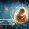 Perché No's profile picture