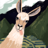 User9247211748's profile picture