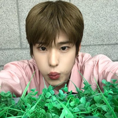 소히's profile picture