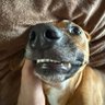 Jeffrey Marshall's profile picture