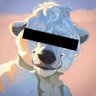 IrritableBear's profile picture