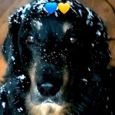 jola_mor's profile picture