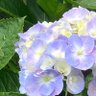 Фото профиля 沖葉