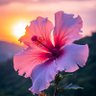 flower live's profile picture