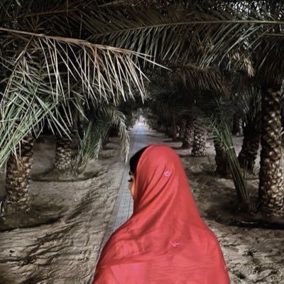 user_hafsa's profile picture