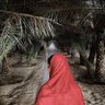 Profilbild von حفـصة الجنـابي