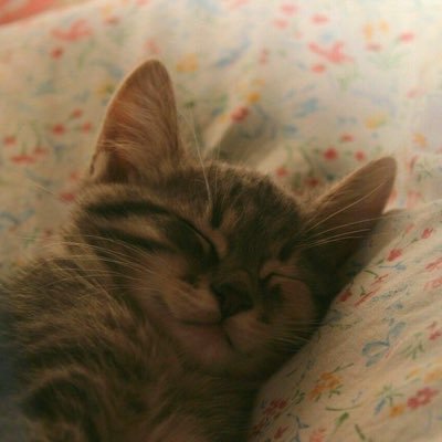 finny…'s profile picture
