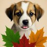 Tammy 🇨🇦🍁's profile picture