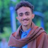 محمد ابراهيم الاشموري 的头像
