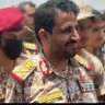محمد القاضي 的头像