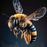 スズメ蜂 profil fotoğrafı