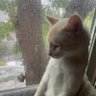 $pecial profil fotoğrafı