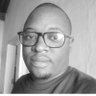 Profilbild von Brian Muchadonha