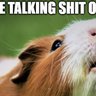 Profilbild von Guineapig