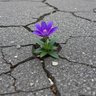 Фото профиля Nathalia Azevedo