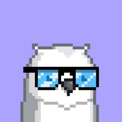 Owen's profile picture