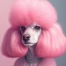 Pink Poodle profil fotoğrafı