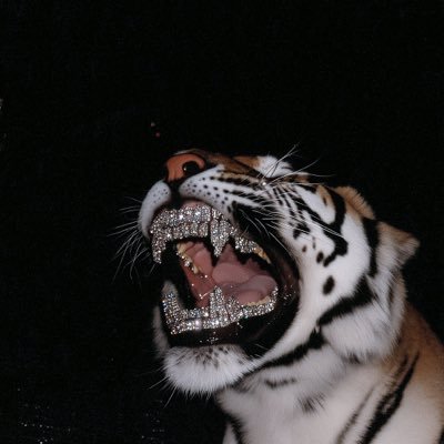 MyBankIsFat's profile picture