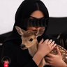 SEEN🦌 profil fotoğrafı