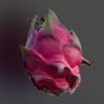 czr's profile picture