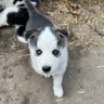 Zepti profil fotoğrafı