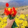 Profilbild von قاسم جتوئی البلوشی