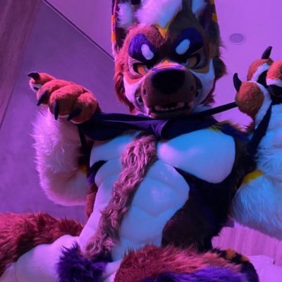 歐帕魯 (オパル/OPaLu) ➡️ UTFG / OFFF 2026's profile picture