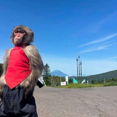 Sandoni Iraola's profile picture