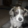 Bob's profile picture
