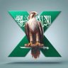 ﮼محمد،بن،شارع،الغويري 🇸🇦MBS 的头像